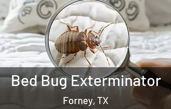  Bed Bug Exterminator Forney, TX
