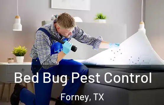  Bed Bug Pest Control Forney, TX