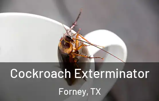  Cockroach Exterminator Forney, TX