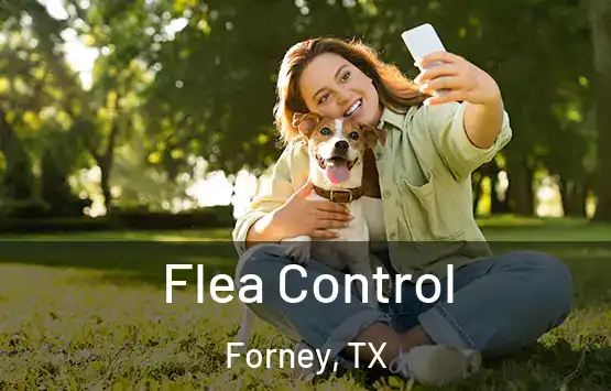  Flea Control Forney, TX