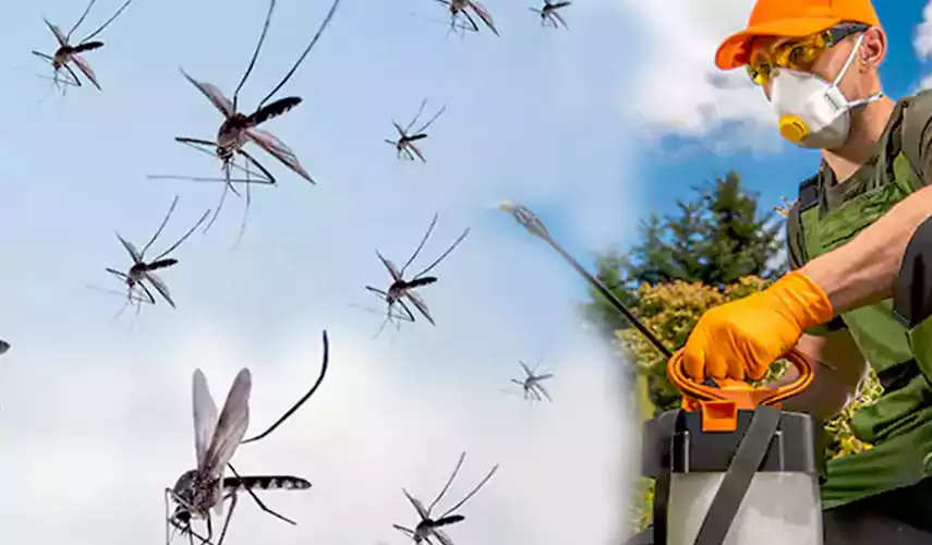 Mosquito Pest Control in Forney, TX