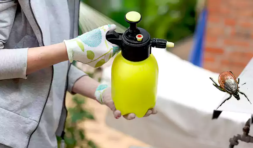 Ticks Pest Control Forney, Texas