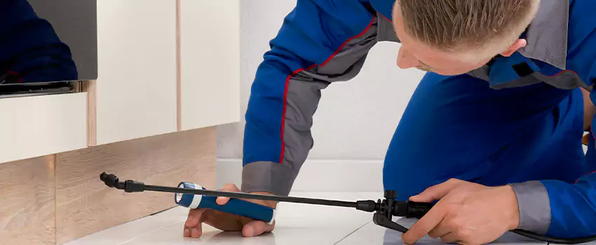 Ant Control for Bedrooms in Forney, TX