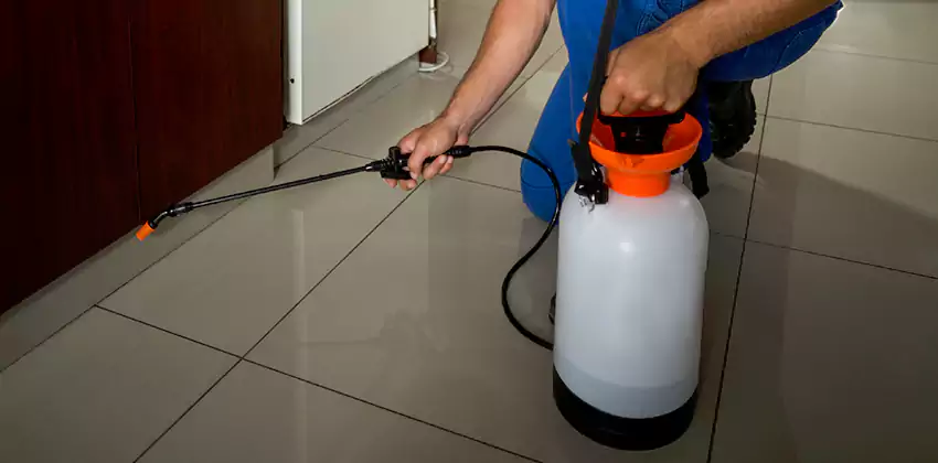 Commercial Pest Extermination for Offices in Forney, TX