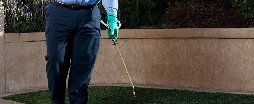 Emergency Pest Extermination for Children and Pets Forney, TX