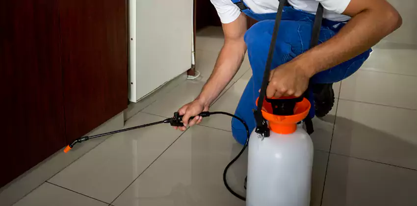 Commercial Flea Exterminator Company in Forney, TX
