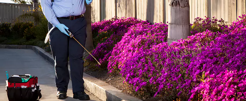 Pest Extermination for Bedrooms in Forney, TX