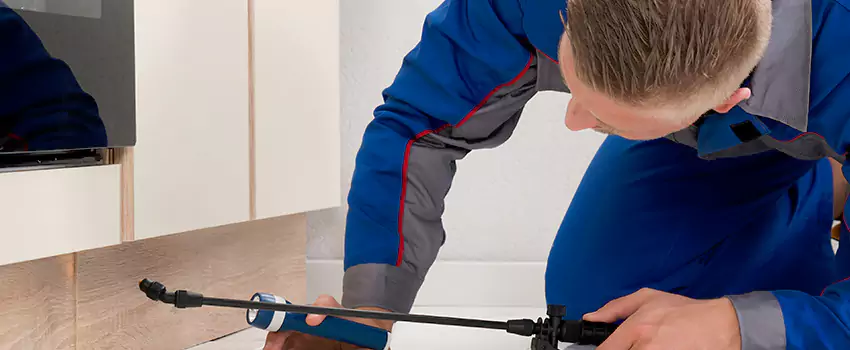 Termite Control for Children and Pets in Forney, TX