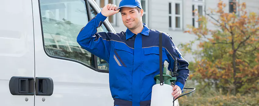 Whitefly Treatment for Bedrooms Forney, TX