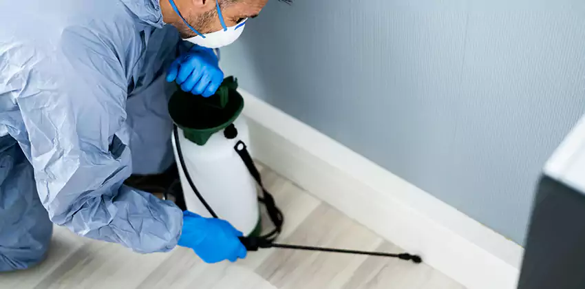 commercial-pest-exterminator in Forney, TX