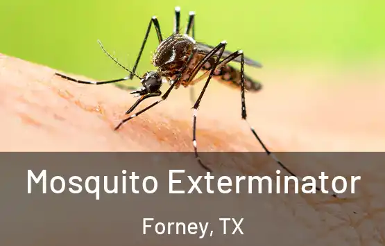  Mosquito Exterminator Forney, TX