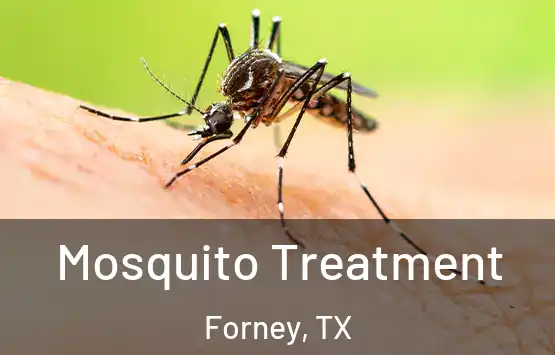  Mosquito Treatment Forney, TX