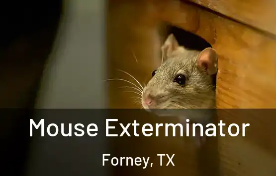  Mouse Exterminator Forney, TX