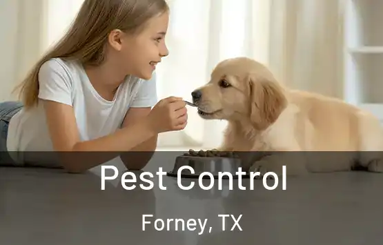 Pest Control Forney, TX