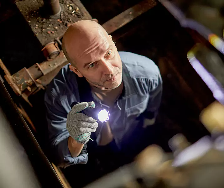 About Pest Inspection Forney