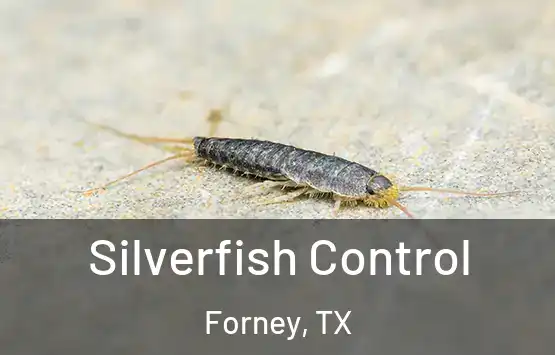  Silverfish Control Forney, TX