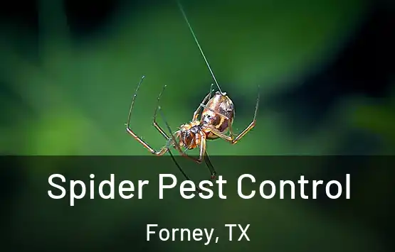  Spider Pest Control Forney, TX