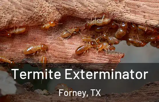  Termite Exterminator Forney, TX