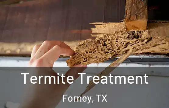  Termite Treatment Forney, TX
