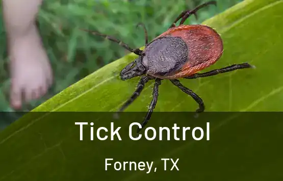  Tick Control Forney, TX