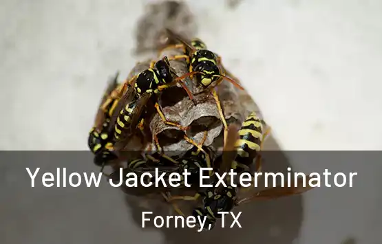  Yellow Jacket Exterminator Forney, TX